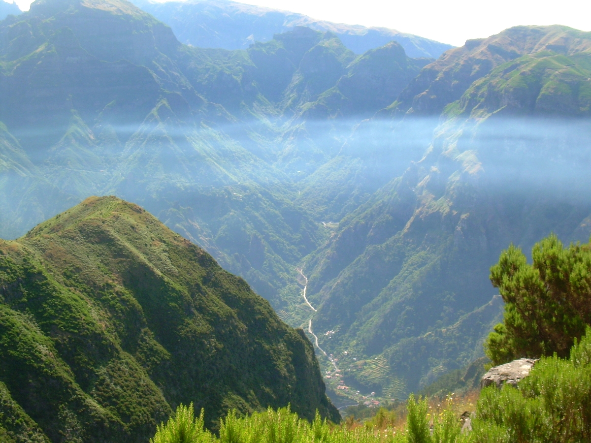Madeira | Blütenzauber und Vulkangebirge