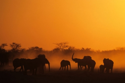 Von Namibia nach Kapstadt