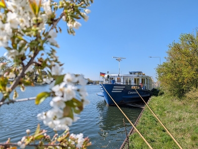 Main,Rhein & Neckar | Flussreise für Genießer und Entdecker