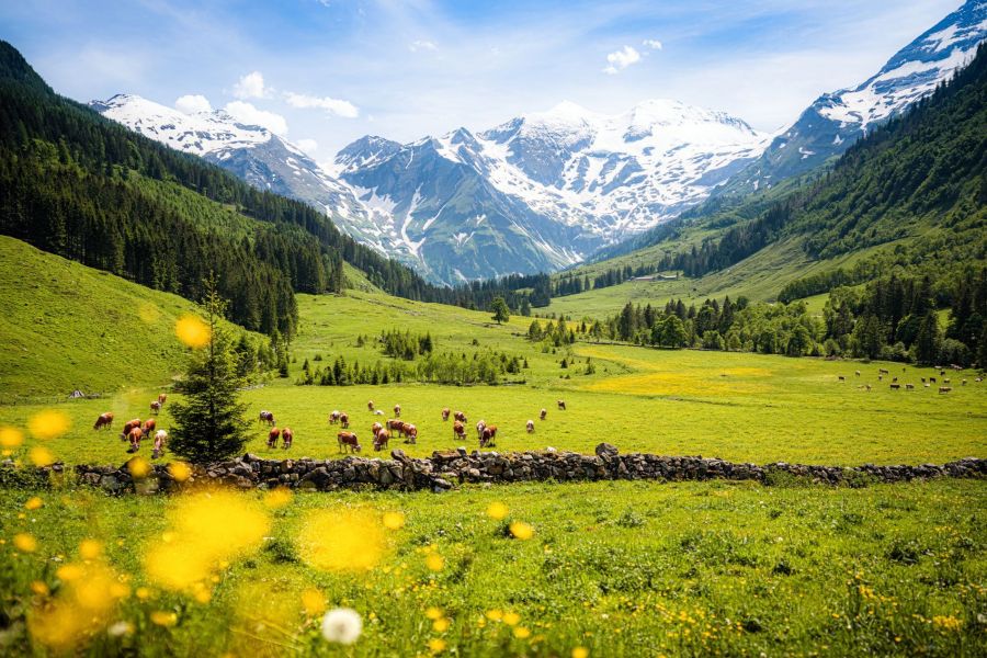 Österreich