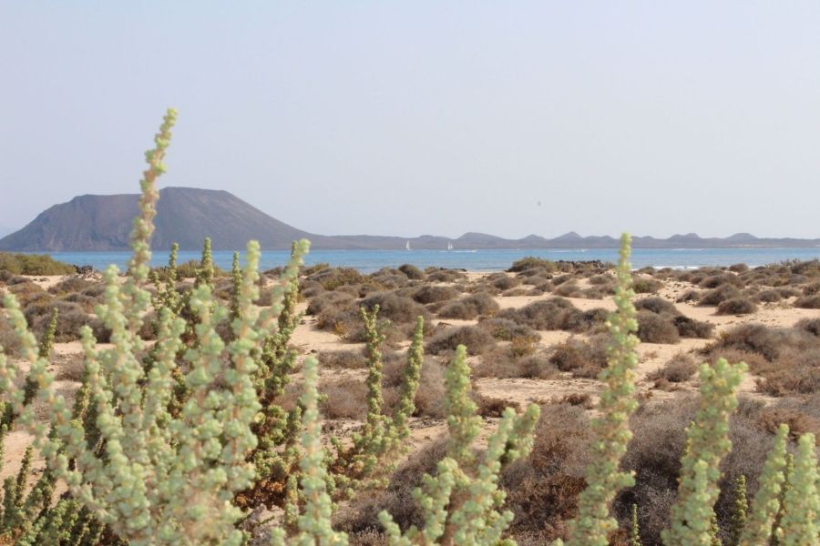 Strandparadies Fuerteventura