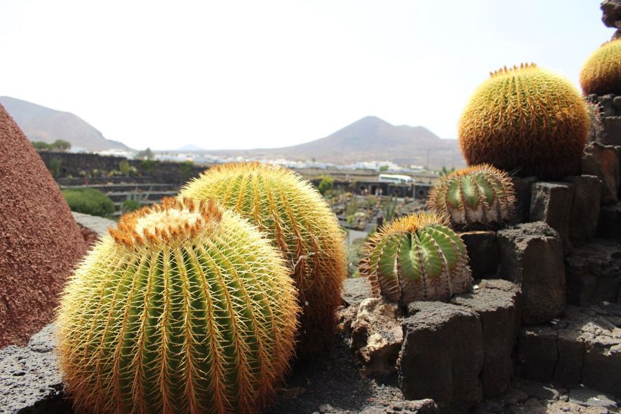 Bezauberndes Lanzarote