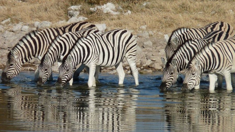 Namibia | Ein unglaublich schönes Reiseland 