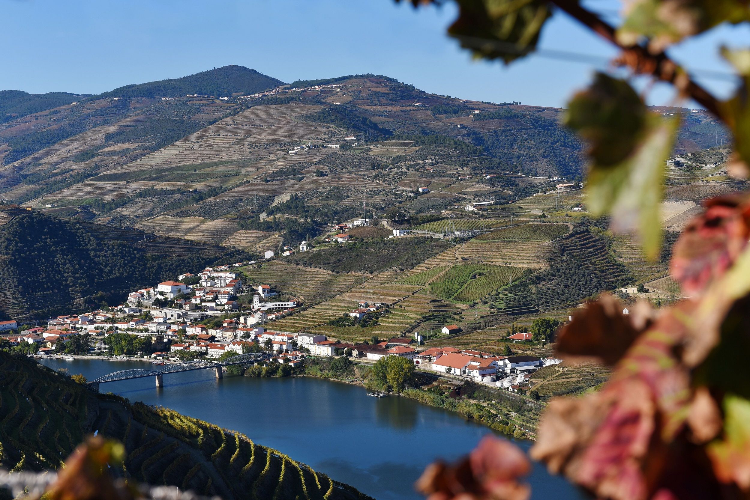 Spektakuläre Weinberge - Flusskreuzfahrt auf dem Douro