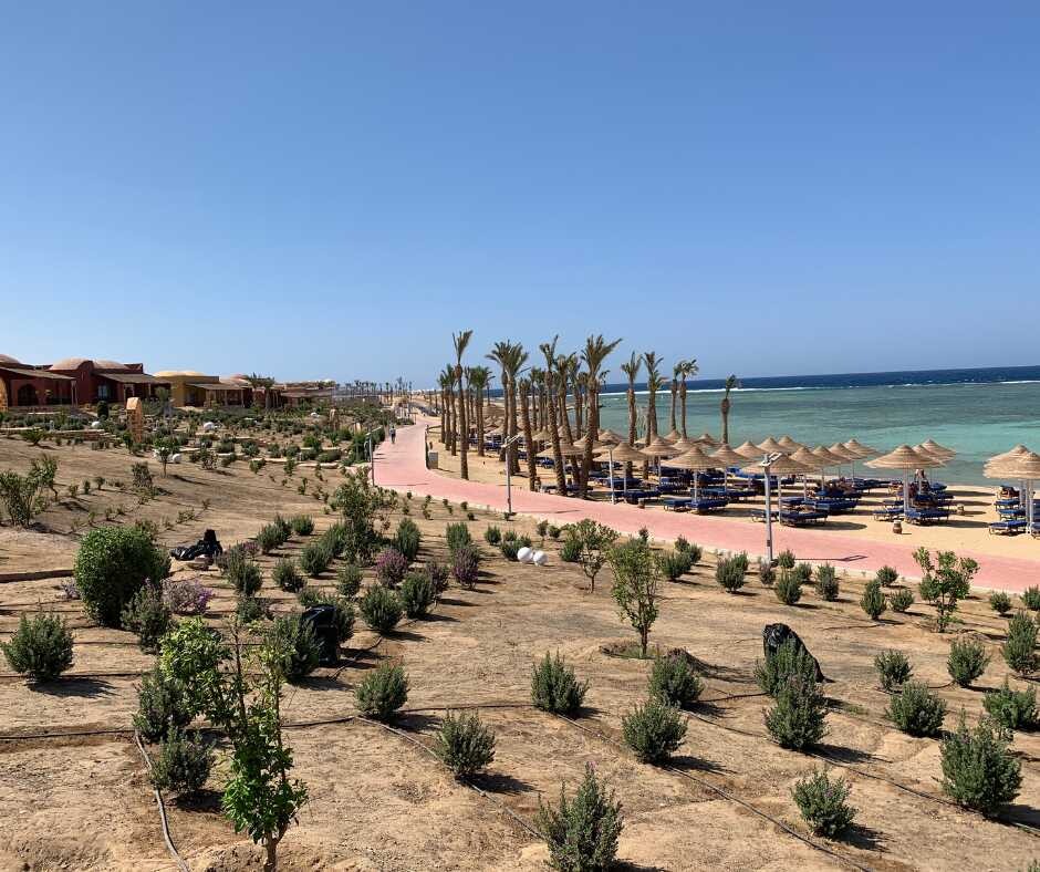 urlaub-in-agypten-hoteltest-in-marsa-alam-30