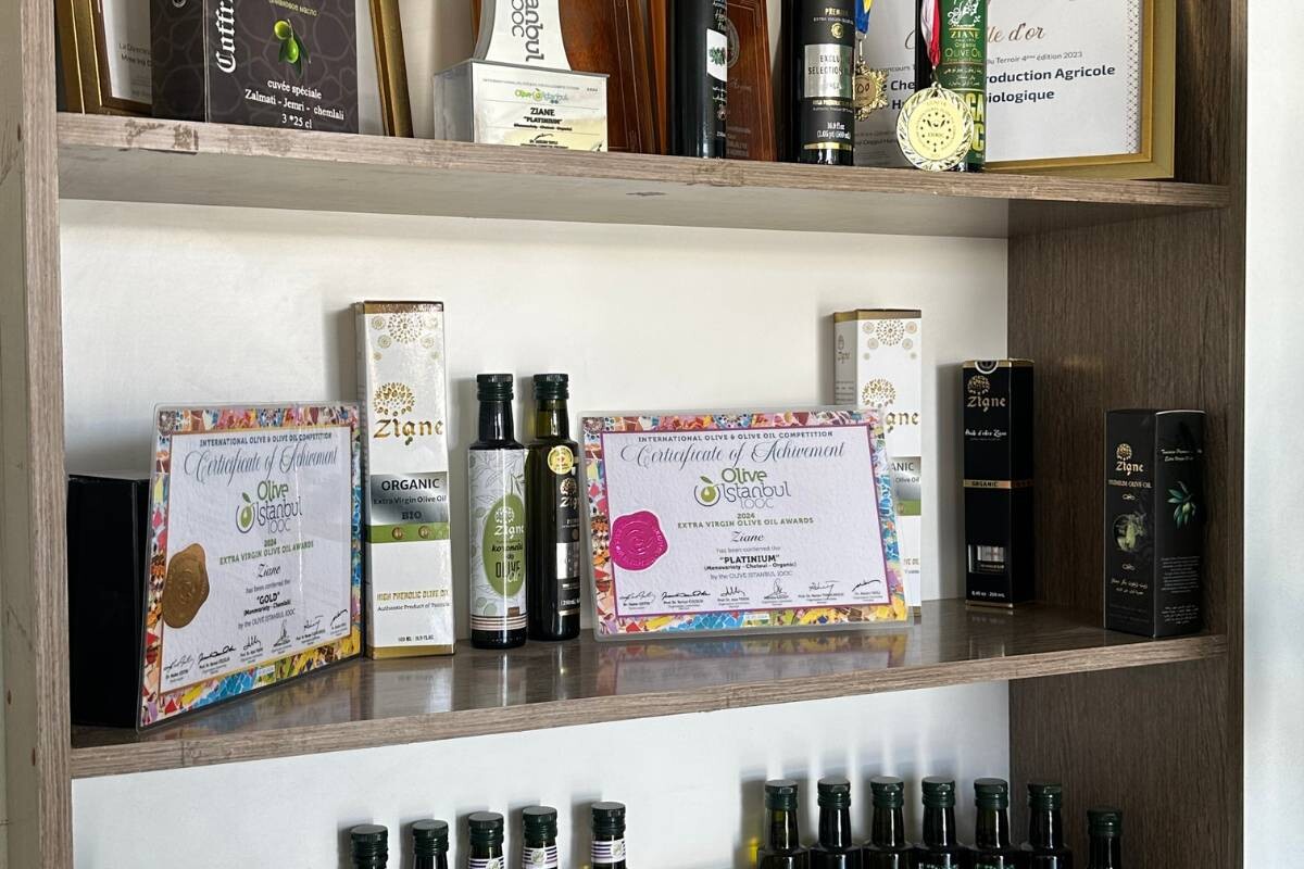 hoteltest-auf-djerba-205