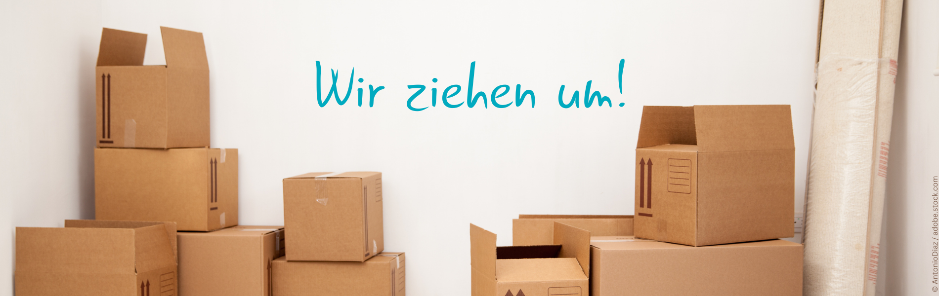 Umzug_News_Website